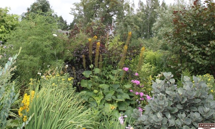Красивый сад Татьяны Кретовой