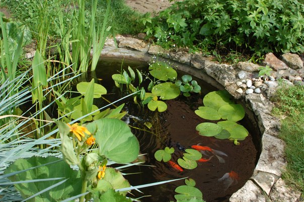 Удачи на даче конкурсы Удачи на даче конкурсы