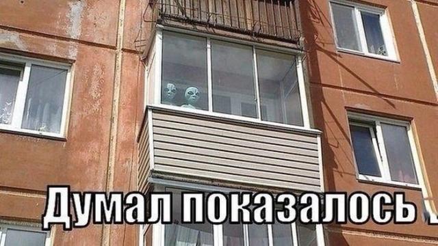 Подборка прикольных фоток (50 фото) Подборка прикольных фоток (50 фото)