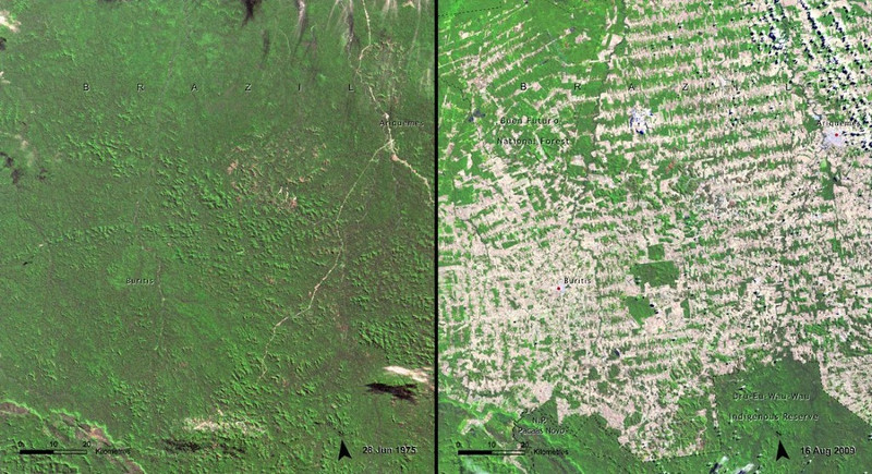 Умирающая планета. Как изменилась земля за последние годы в снимках NASA