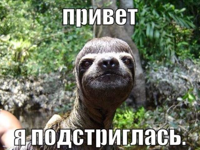 Подборка прикольных фоток (50 фото) Подборка прикольных фоток (50 фото)