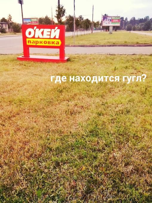 Прикольные картинки с надписями Прикольные картинки с надписями картинки, прикол, фото