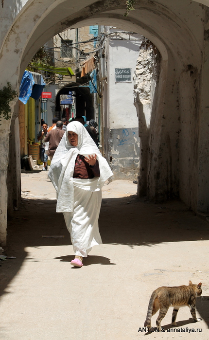 IMG_0692 (430x700, 191Kb)