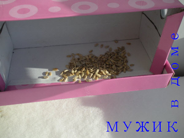 Как из коробки из-под обуви сделать кормушку Как из коробки из-под обуви сделать кормушку