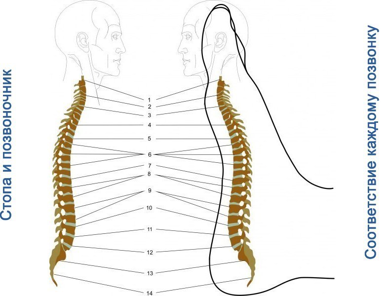 ������� ������ �� ��� ������ �����