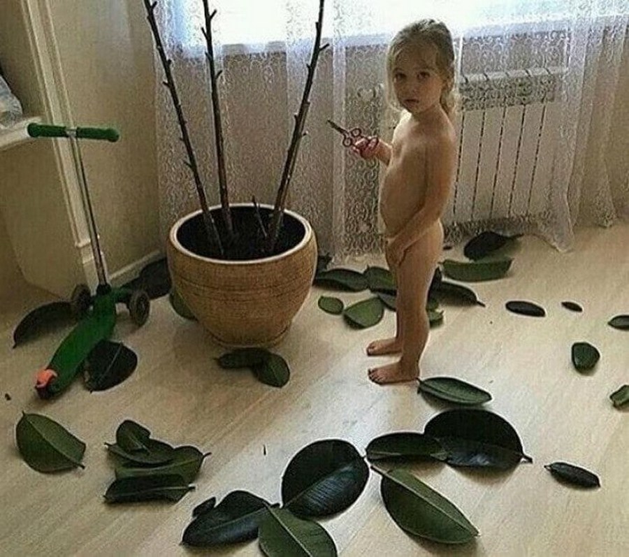 Облетели листья. Облетели листья.