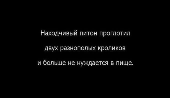 30 картинок, которые расскажут о том, какова жизнь на самом деле жизнь, открытки, юмор