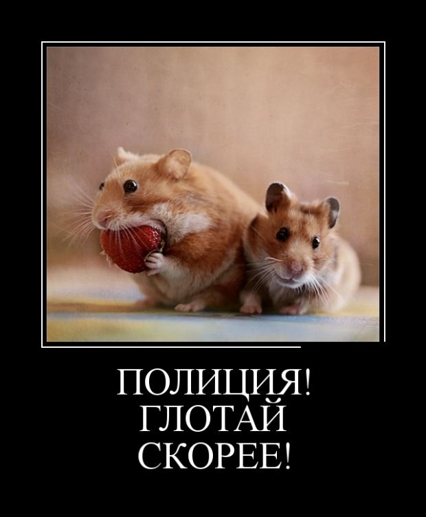 Демотиваторы Демотиваторы