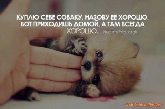 Слова, цитаты, юмор и просто советы в картинках Слова, цитаты, юмор и просто советы в картинках