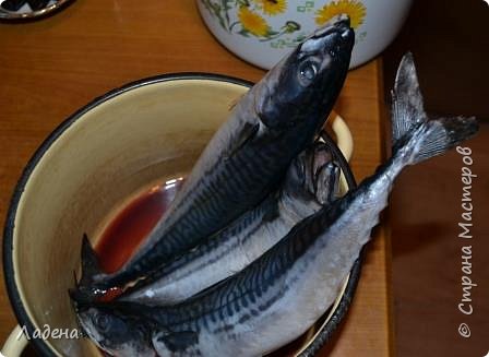 Кулинария Мастер-класс Рецепт кулинарный Улётная Скумбрия без жидкого дыма и прочих трудностей Продукты пищевые фото 3