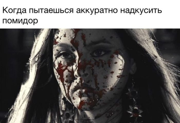 Юмор каждый день