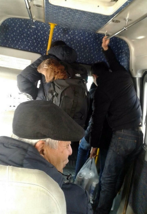 Доставка баранов. Доставка баранов.