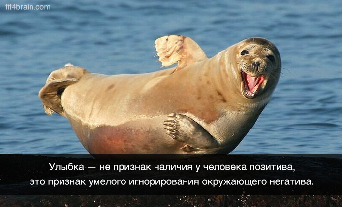 Это я : животные, в которых легко можно узнать себя Это я : животные, в которых легко можно узнать себя