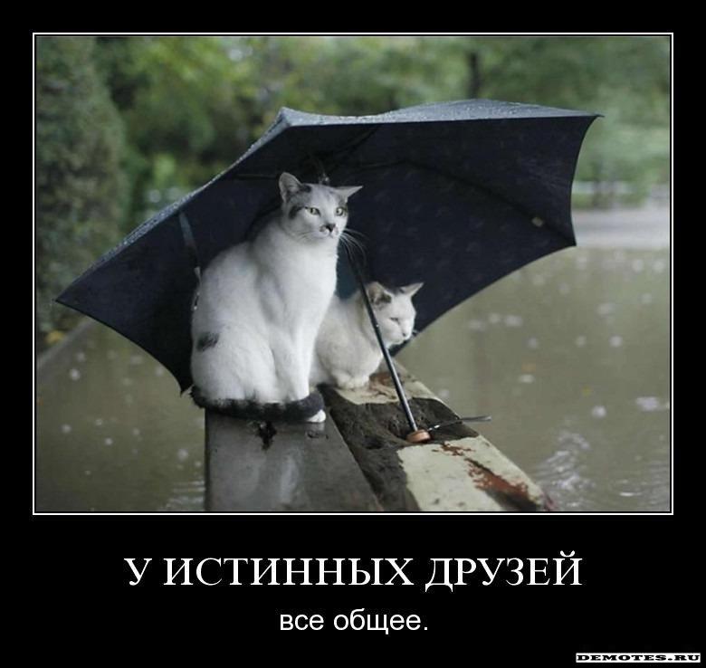 Вася и ретроградная амнезия.. Вася и ретроградная амнезия..