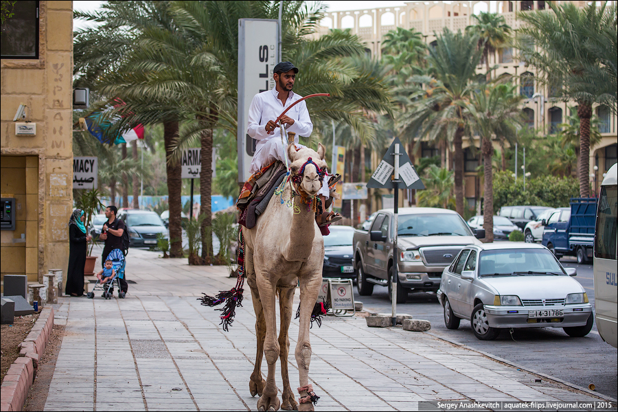 Jordanian