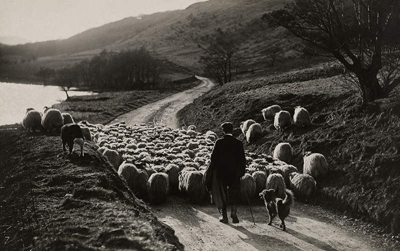 16.        . , 1919 national geographic, , , 
