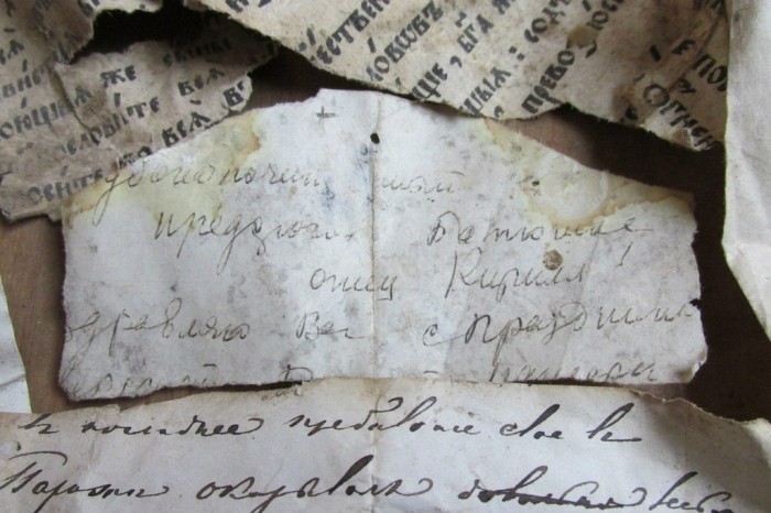 «Птичий архив» под крышей Успенского собора (48 фото)