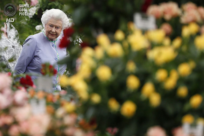 Выставка цветов и ландшафтного дизайна Chelsea Flower Show 2014