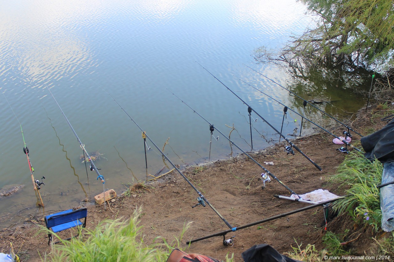 Рыбалка на ставке Пригородное
