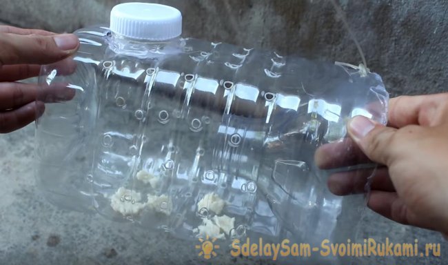 Ловим рыбу пластиковой бутылкой Ловим рыбу пластиковой бутылкой