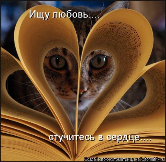 Для хорошего настроения 4