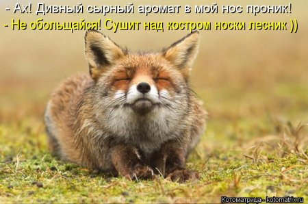   ... !