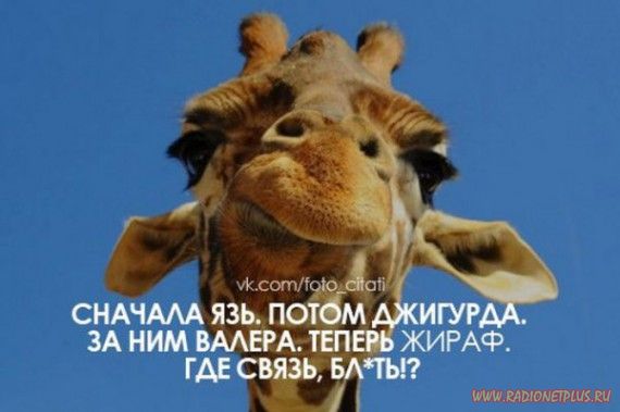 Слова, цитаты, юмор и просто советы в картинках Слова, цитаты, юмор и просто советы в картинках