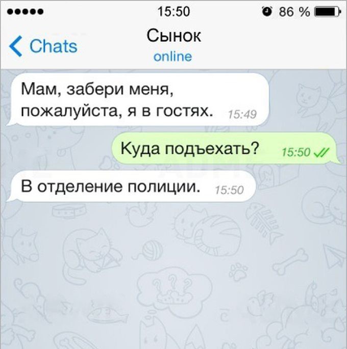 16  ,    , , 