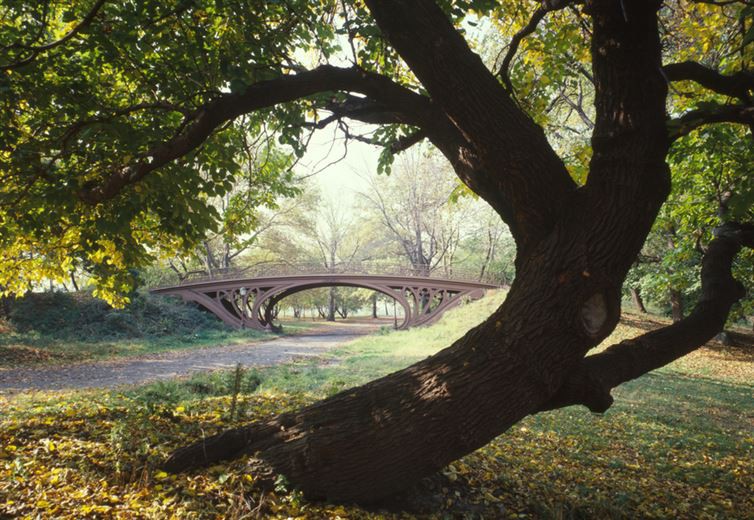 14. Центральный парк, Нью-Йорк достопримечательност, мир, ракурс