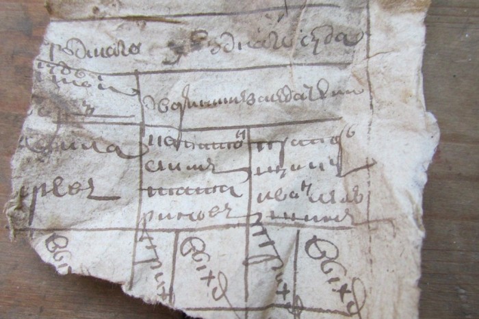 «Птичий архив» под крышей Успенского собора (48 фото)