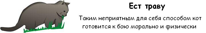 Как узнать, что ваш Кот собирается вас убить