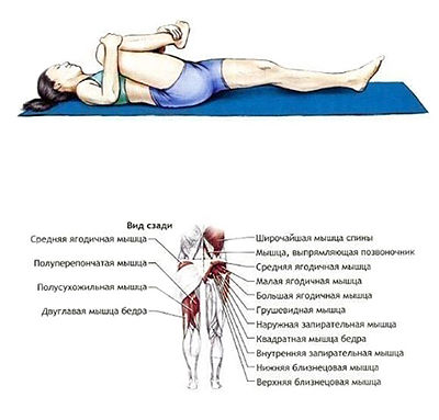 5 элементарных упражнений на растяжку 5 элементарных упражнений на растяжку
