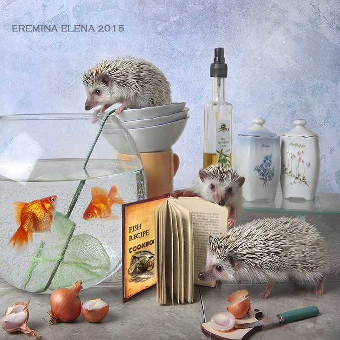     , , 