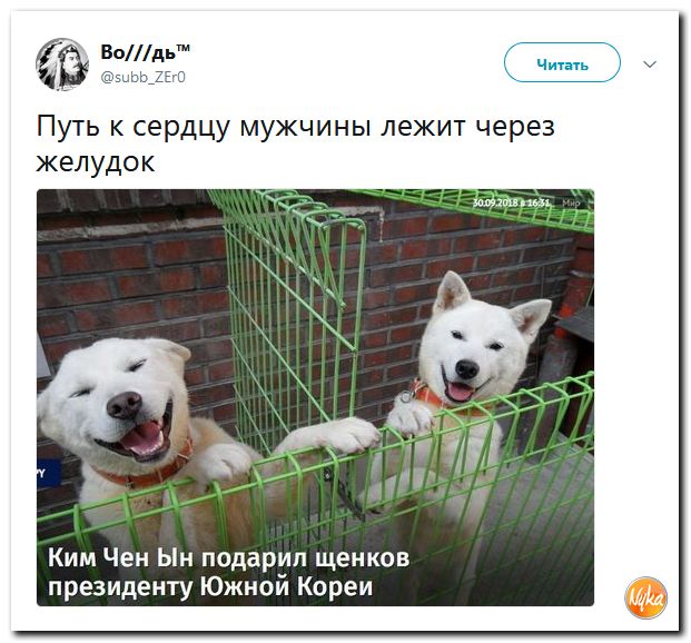Политсатира в ехидных скриншотах и прикольных картинках с ироничными подписями Политсатира в ехидных скриншотах и прикольных картинках с ироничными подписями