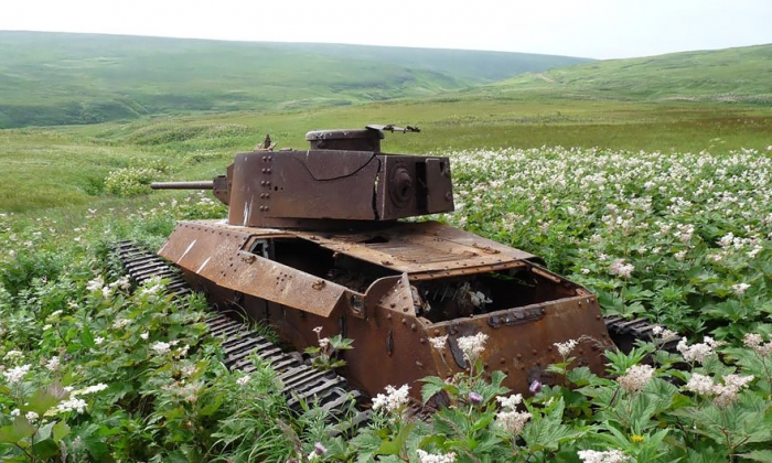 Танки захваченные природой