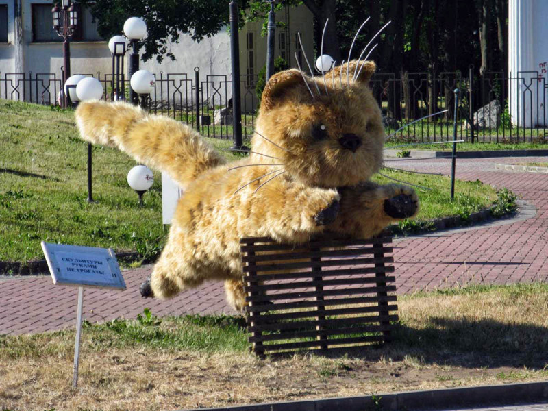 Симпатичная статуя котёнка из пушистых стебельков дикого ячменя животные, факты