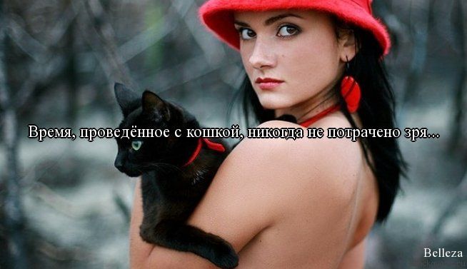 Прикольные цитаты в картинках Прикольные цитаты в картинках