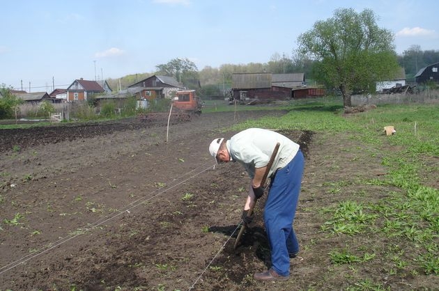 Посадка картофеля, апрель 2012 г.(фото автора)