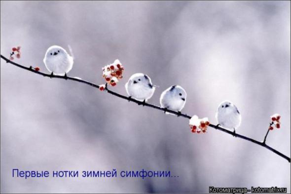 �����������(�������� � ���������)