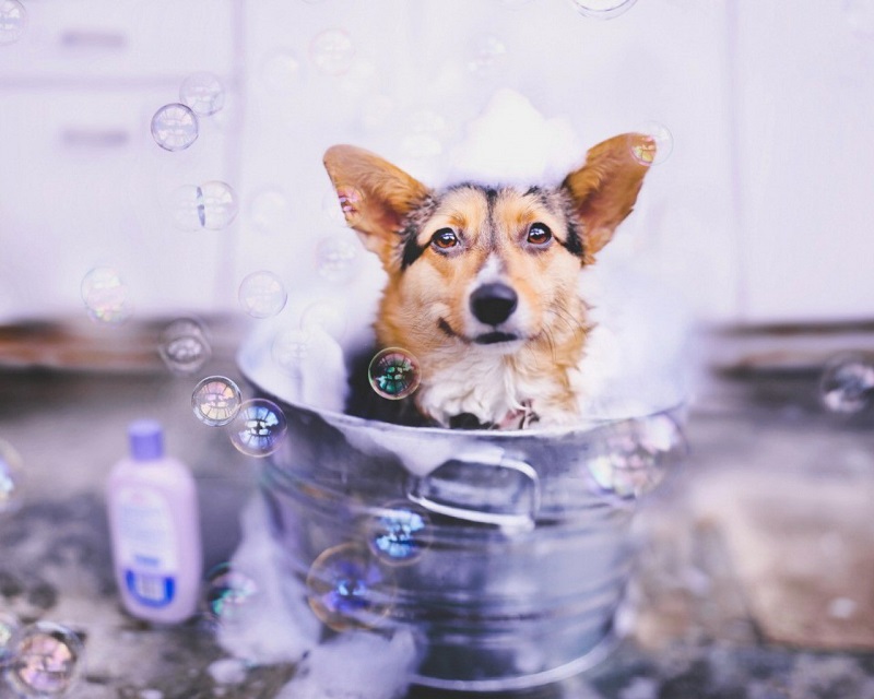 ������ ����� �����-�����. ����