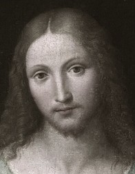 Opus Dei в искусстве и биологии