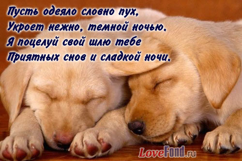 Поздравления с Днем Рождения учительнице - Мир Позитива Поздравления на телефон с днем рождения