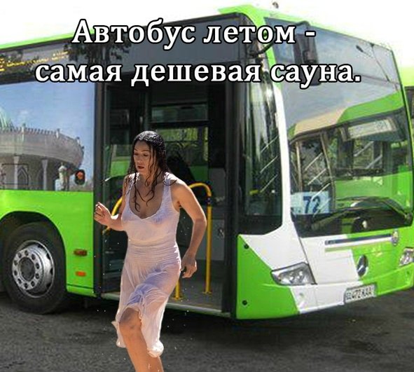 Вот оно какое наше лето!... Вот оно какое наше лето!...
