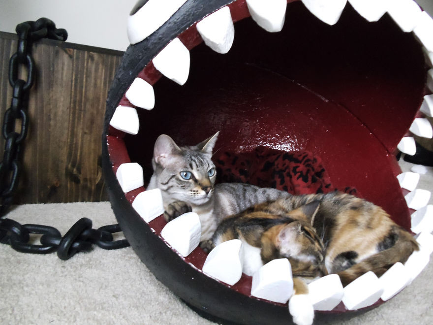 Оригинальная кровать для кота  кот, кровать, марио, монстр