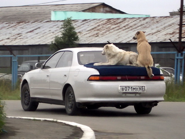 Автомобильные фотоприколы Автомобильные фотоприколы авто, прикол