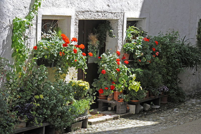 ���������� � ������ ����� � ���: ����� � �����