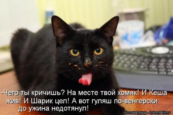 (  )