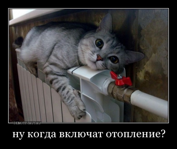 "Заплати за отопление и мерзни спокойно". Фото 3