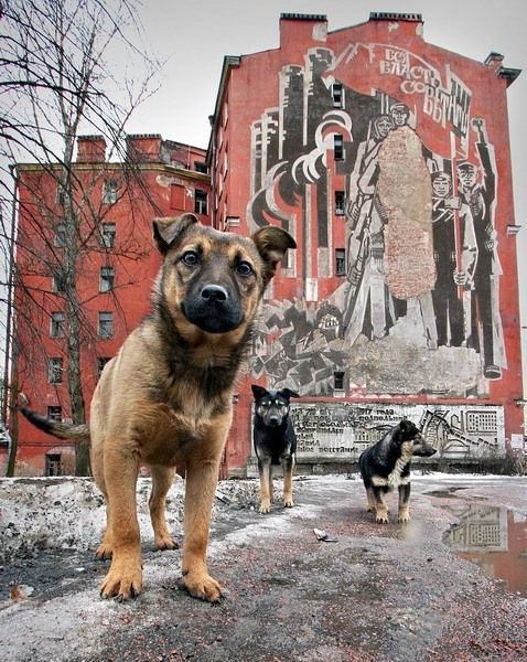 Петербург, каким мы его еще не видели города, история, факты