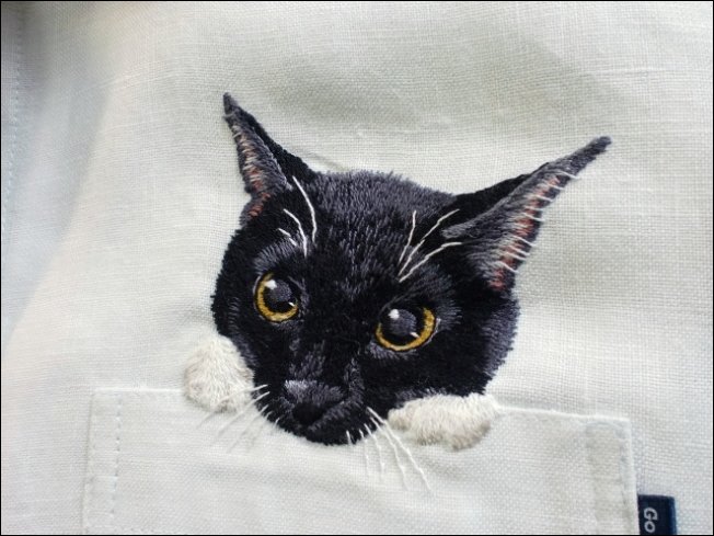 Карманные котята Карманные котята
